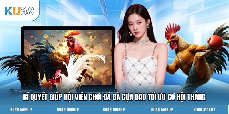 Bí quyết giúp hội viên chơi đá gà cựa dao tối ưu cơ hội thắng