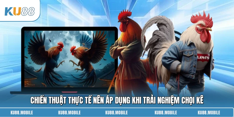 Chiến thuật thực tế nên áp dụng khi trải nghiệm chọi kê