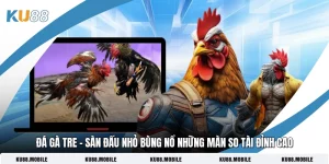 Đá Gà Tre - Sàn Đấu Nhỏ Bùng Nổ Những Màn So Tài Đỉnh Cao