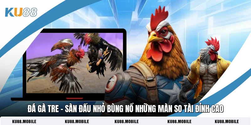 Đá Gà Tre - Sàn Đấu Nhỏ Bùng Nổ Những Màn So Tài Đỉnh Cao