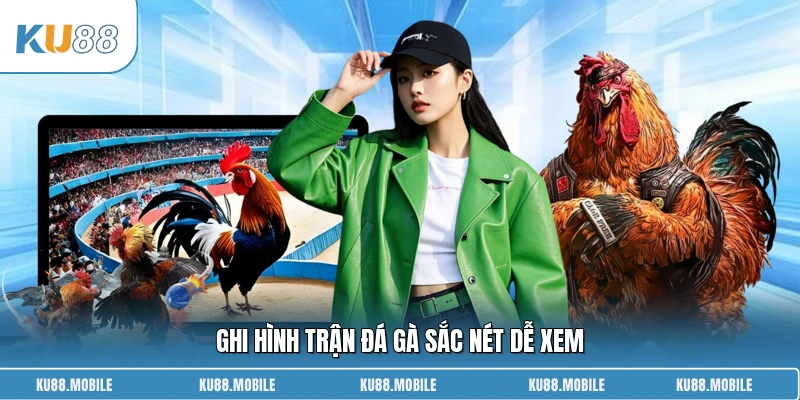 Ghi hình trận đá gà sắt nét dễ xem