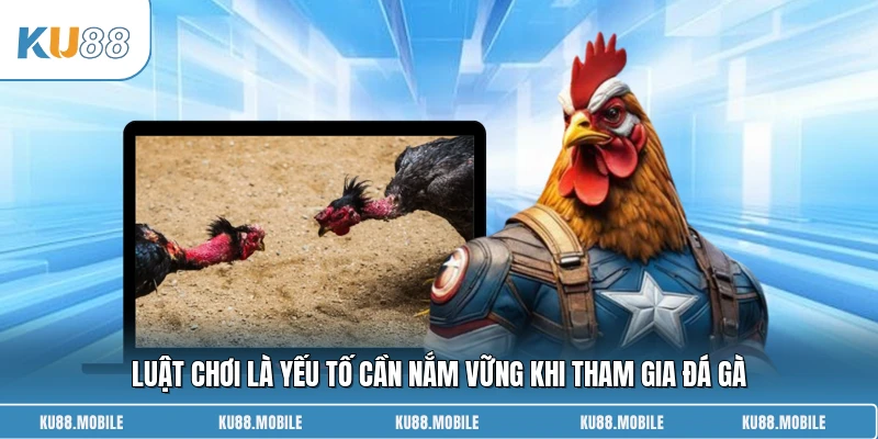Luật chơi là yếu tố cần nắm vững khi tham gia đá gà