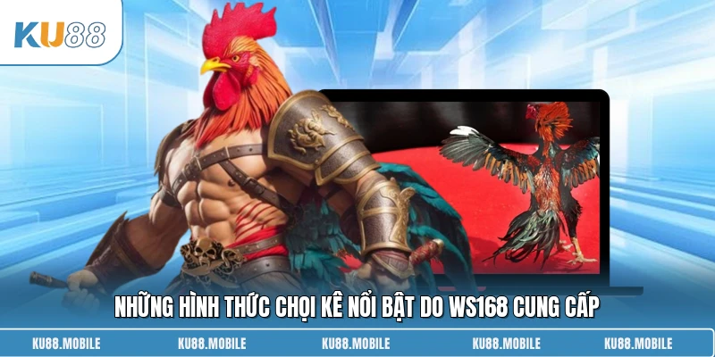 Những hình thức chọi kê nổi bật do WS168 Đá Gà cung cấp