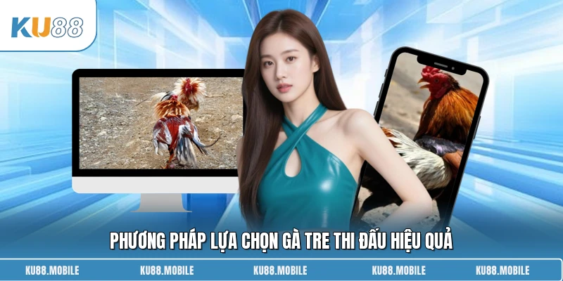 Phương pháp lựa chọn gà tre thi đấu hiệu quả