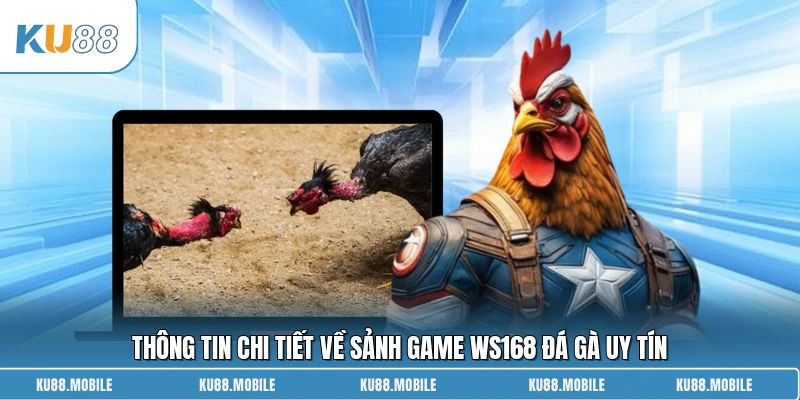 Thông tin chi tiết về sảnh game WS168 Đá Gà uy tín