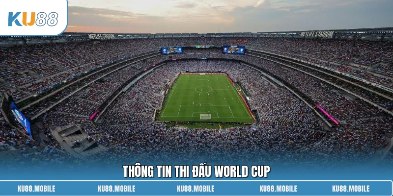 Thông tin thi đấu World Cup