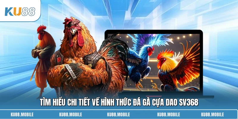 Tìm hiểu chi tiết về hình thức đá gà cựa dao SV388