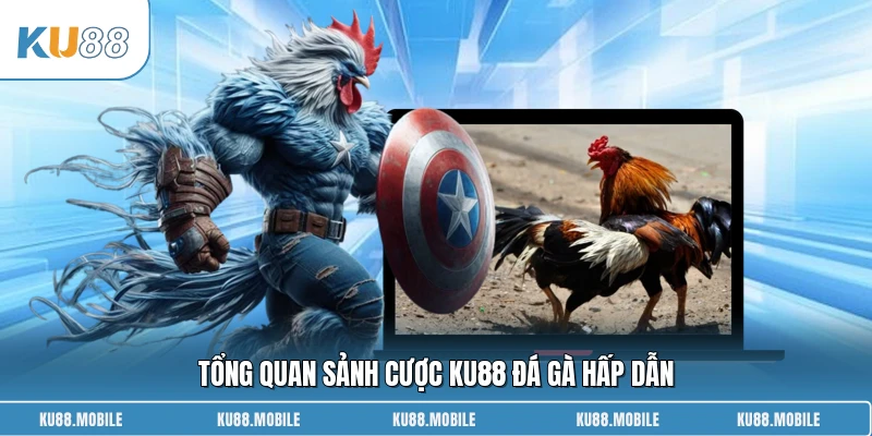 Tổng quan sảnh cược KU88 đá gà hấp dẫn