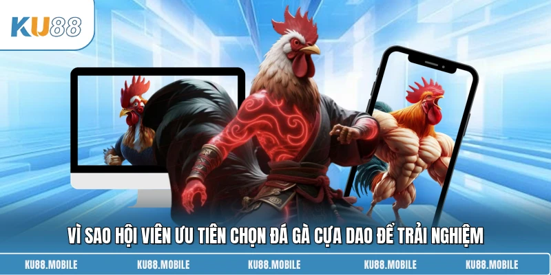 Vì sao hội viên ưu tiên chọn đá gà cựa dao để trải nghiệm