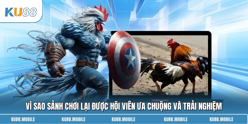 Vì sao sảnh chơi lại được hội viên ưa chuộng và trải nghiệm